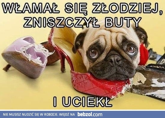 
    To wina złodzieja