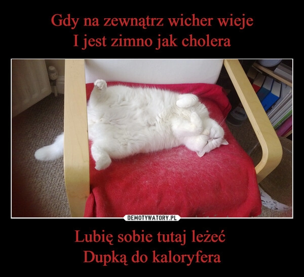 
    Gdy na zewnątrz wicher wieje
I jest zimno jak cholera Lubię sobie tutaj leżeć 
Dupką do kaloryfera