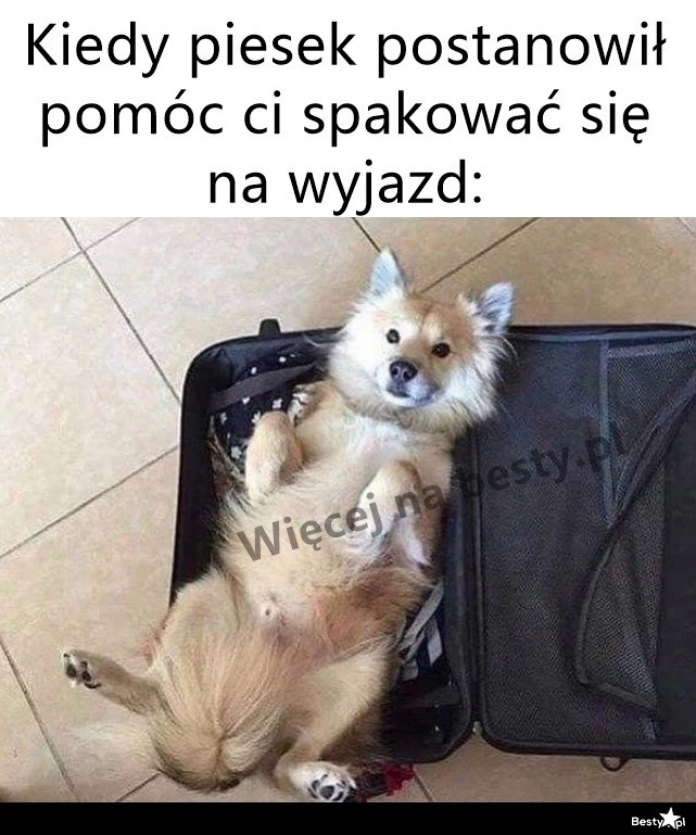 
    Weź mnie, weź mnie! 