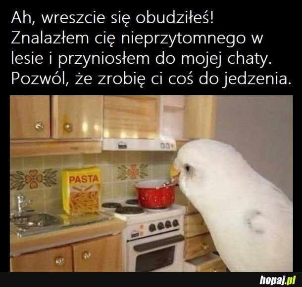 
    Po przebudzeniu