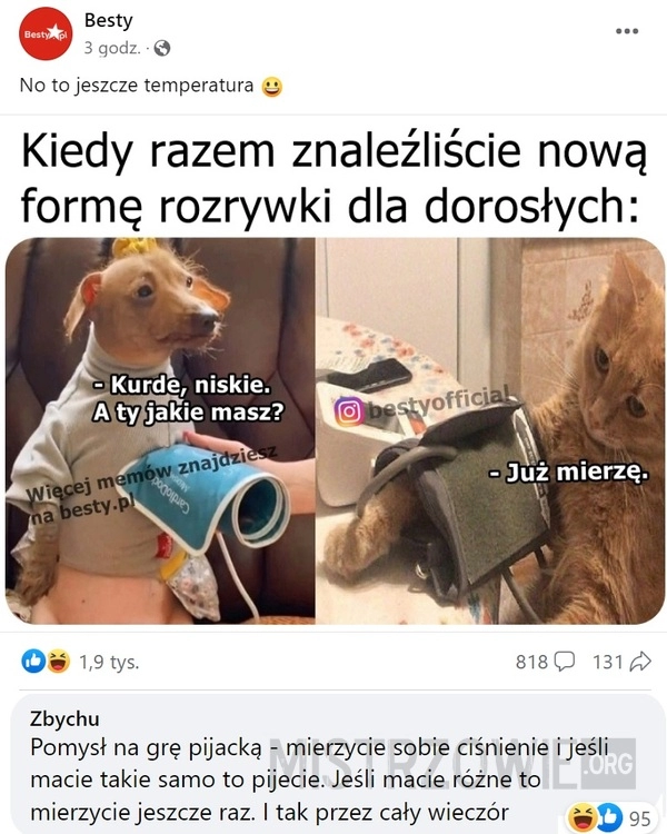 
    Rozrywka