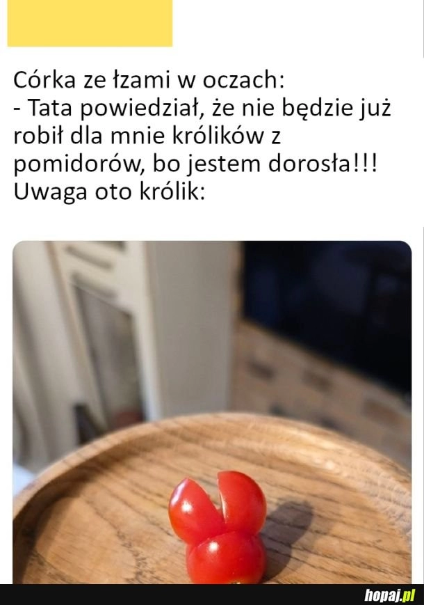 
    Koniec z króliczkami