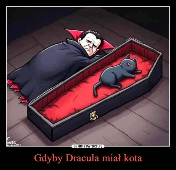 
    Gdyby Dracula miał kota