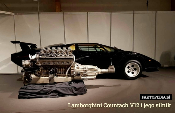 
    Lamborghini Countach V12 i jego silnik