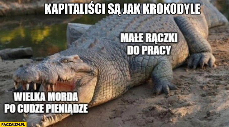
    Kapitaliści są jak krokodyle małe rączki do pracy, wielka morda po cudze pieniądze