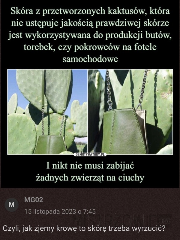 
    Skóra z kaktusów