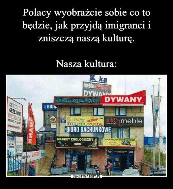 
    Polacy wyobraźcie sobie co to będzie, jak przyjdą imigranci i zniszczą naszą kulturę.

Nasza kultura: