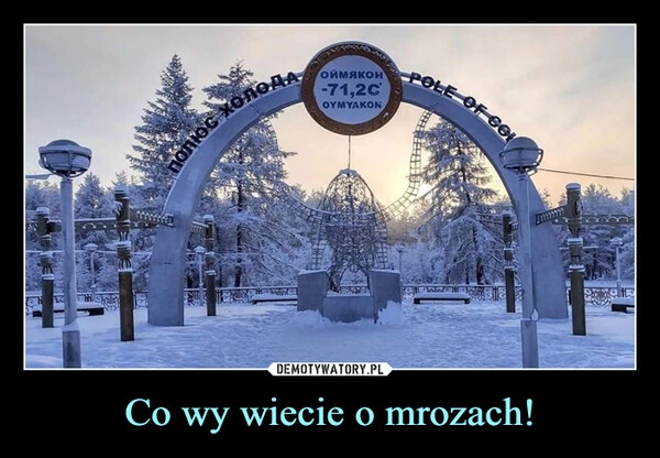 
    Co wy wiecie o mrozach!