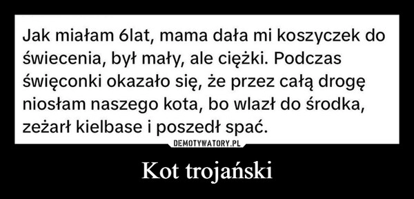 
    Kot trojański