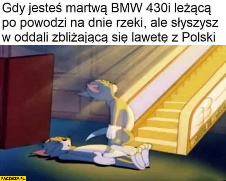 
    Gdy jesteś martwą BMW 430 leżąca po powodzi na dnie rzeki ale słyszysz w oddali zbliżającą się lawetę z Polski zmartwychwstanie