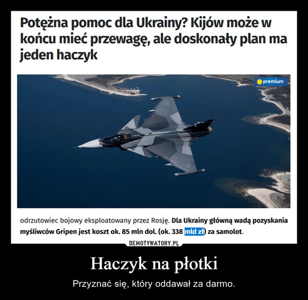 
    Haczyk na płotki