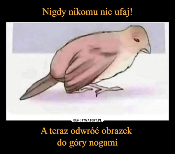 
    Nigdy nikomu nie ufaj! A teraz odwróć obrazek 
do góry nogami