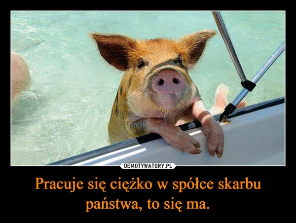 
    Pracuje się ciężko w spółce skarbu państwa, to się ma.