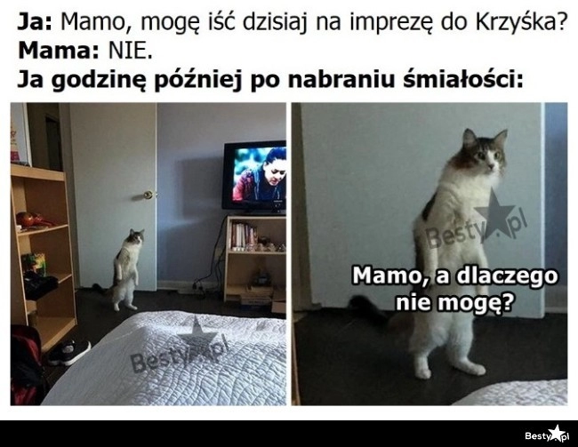 
    Może jest jeszcze szansa 