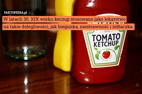 
    W latach 30. XIX wieku keczup stosowano jako lekarstwo
na takie dolegliwości,