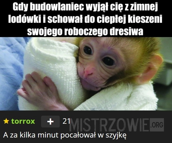 
    Budowlaniec