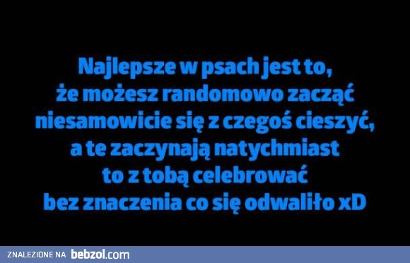 
    Kochane psy 