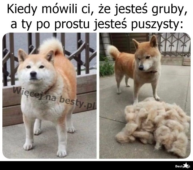 
    Żaden tam gruby 