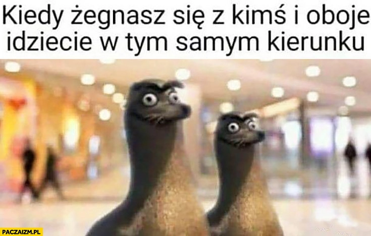 
    Kiedy żegnasz się z kimś i oboje idziecie w tym samym kierunku