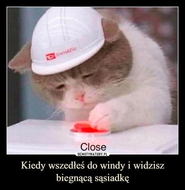 
    Kiedy wszedłeś do windy i widzisz biegnącą sąsiadkę