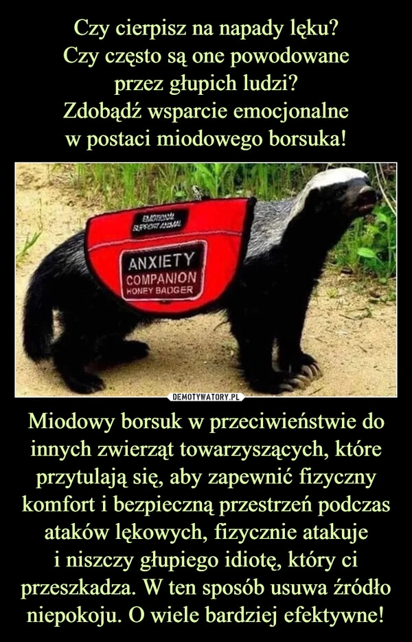 
    Czy cierpisz na napady lęku?
Czy często są one powodowane
przez głupich ludzi?
Zdobądź wsparcie emocjonalne
w postaci miodowego borsuka! Miodowy borsuk w przeciwieństwie do innych zwierząt towarzyszących, które przytulają się, aby zapewnić fizyczny komfort i bezpieczną przestrzeń podczas ataków lękowych, fizycznie atakuje
i niszczy głupiego idiotę, który ci przeszkadza. W ten sposób usuwa źródło niepokoju. O wiele bardziej efektywne!