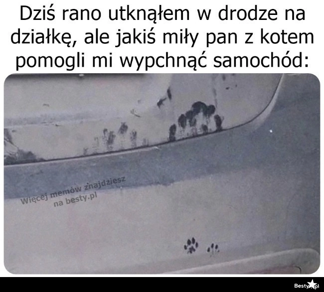 
    Miły pan z kotem 