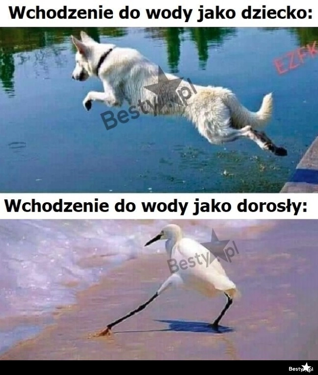 
    Powolutku, muszę się przyzwyczaić 