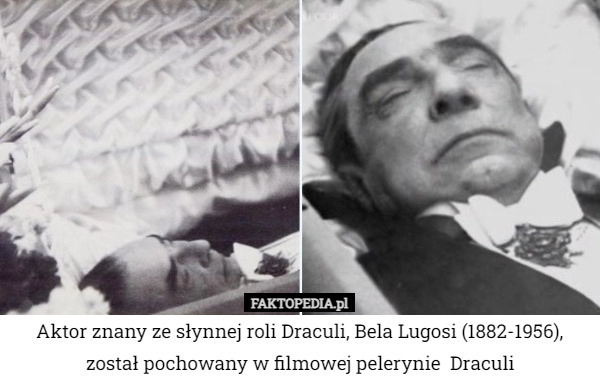 
    Aktor znany ze słynnej roli Draculi, Bela Lugosi (1882-1956), został pochowany