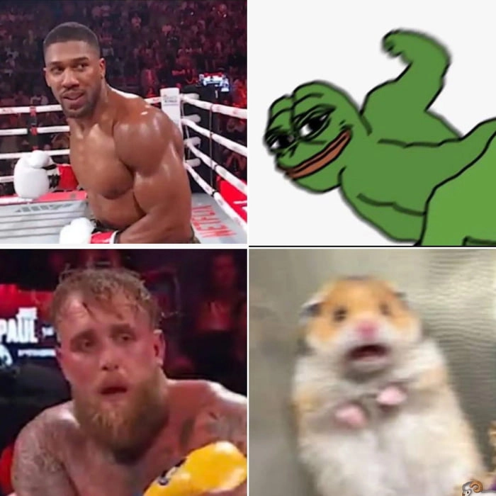 
    The internet on a good day