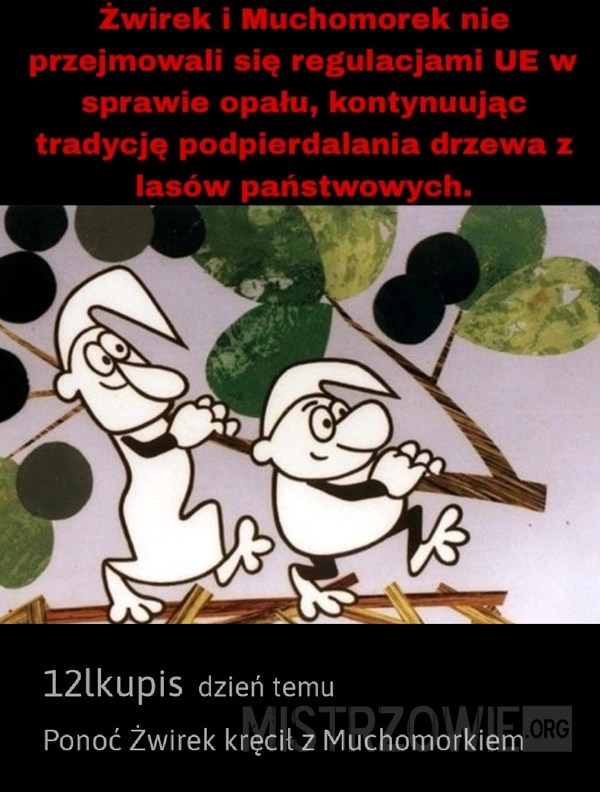 
    Drzewo z lasów państwowych