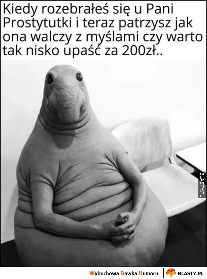 
    Kiedy rozebrałeś się u Pani Prostytutki i teraz patrzysz jak ona walczy z myślami czy warto tak nisko upaść za 200 zł