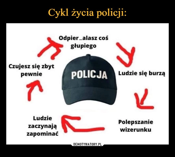 
    Cykl życia policji: 