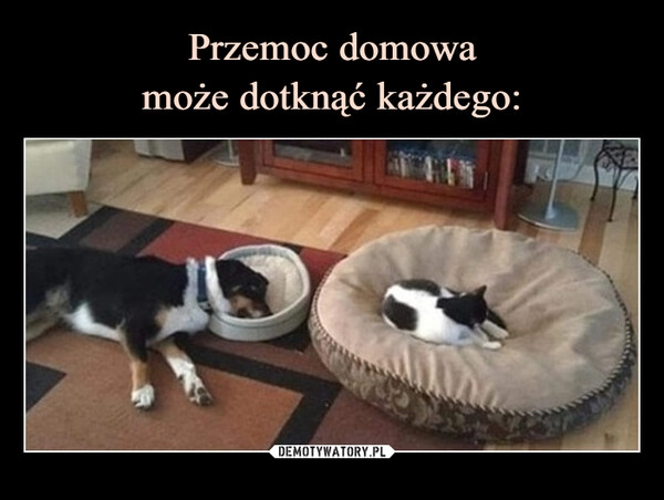 
    Przemoc domowa
może dotknąć każdego: