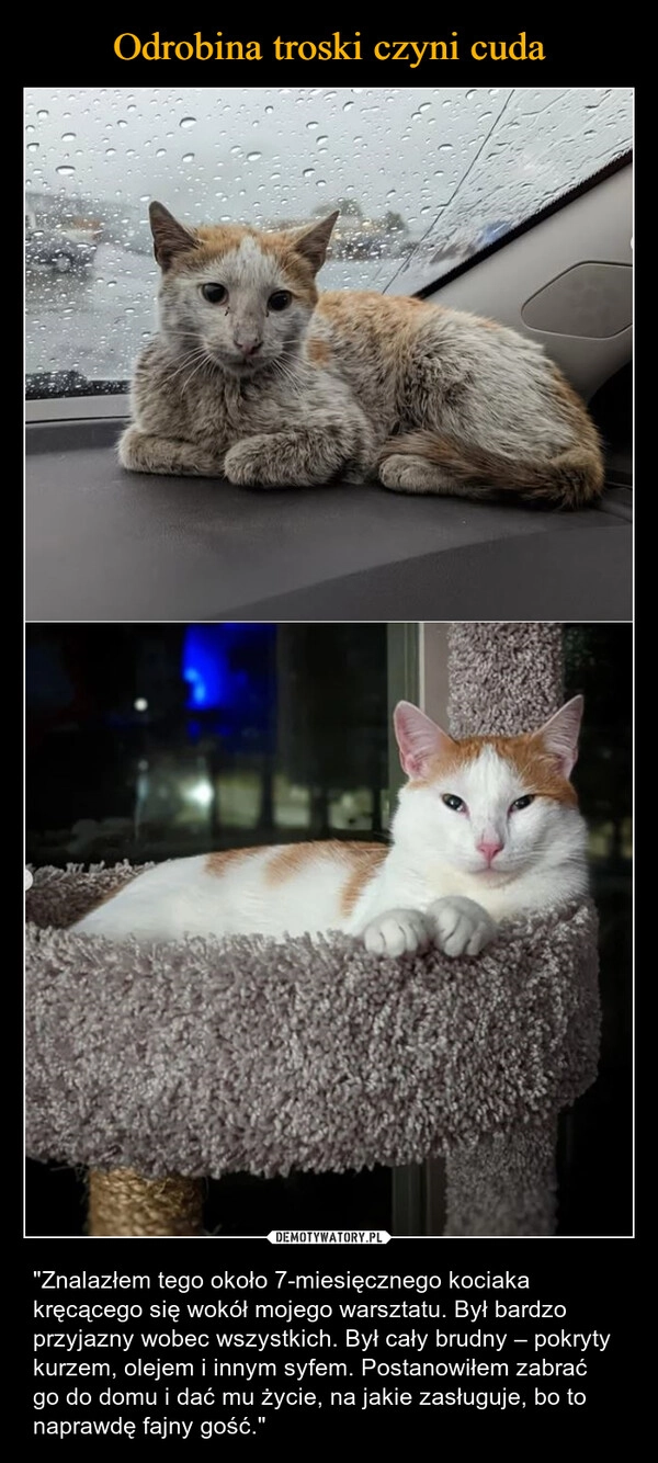 
    Odrobina troski czyni cuda