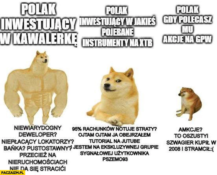 
    Polak inwestujący w kawalerkę w jakieś instrumenty na XTB vs Polak gdy polecasz mu akcje na giełdzie GPW pies pieseł doge cheems