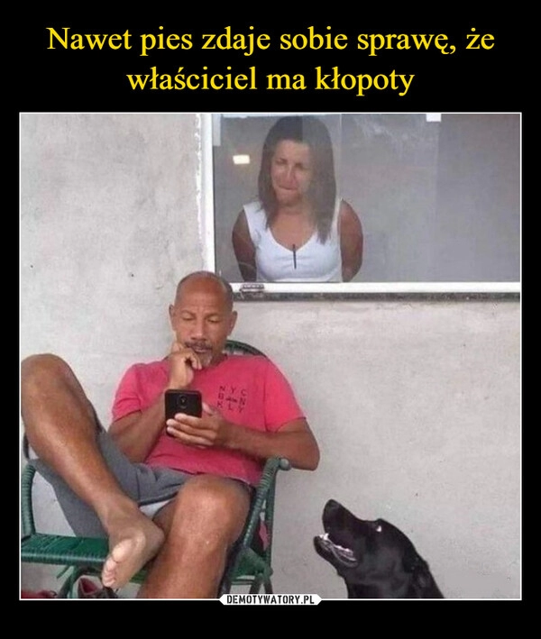 
    Nawet pies zdaje sobie sprawę, że właściciel ma kłopoty