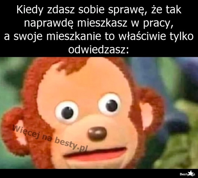 
    Kiedy dużo pracujesz 