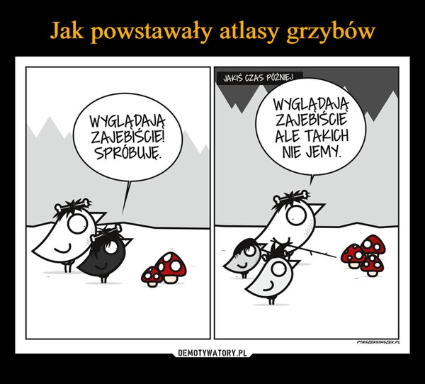 
    Jak powstawały atlasy grzybów