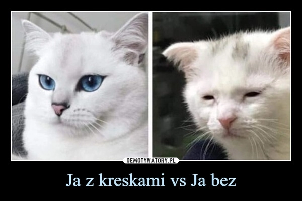 
    Ja z kreskami vs Ja bez