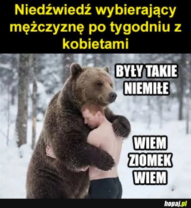 
    Niedźwiedź