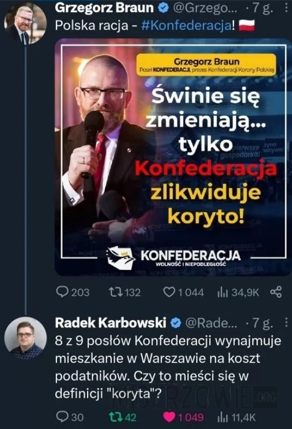 
    Świnie się zmieniają