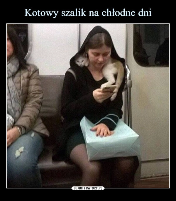 
    Kotowy szalik na chłodne dni