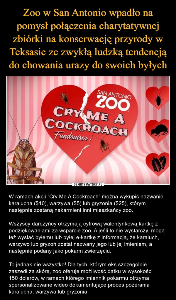 
    Zoo w San Antonio wpadło na pomysł połączenia charytatywnej zbiórki na konserwację przyrody w Teksasie ze zwykłą ludzką tendencją do chowania urazy do swoich byłych 