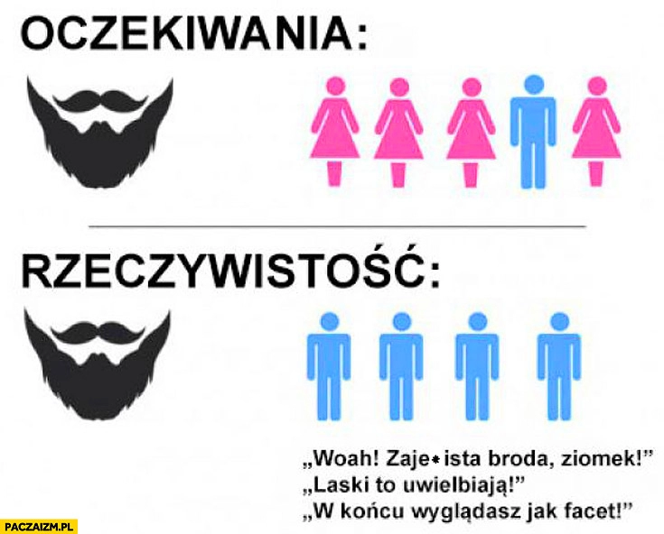 
    Broda oczekiwania vs rzeczywistość