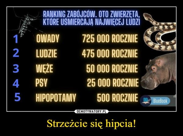 
    Strzeżcie się hipcia! 