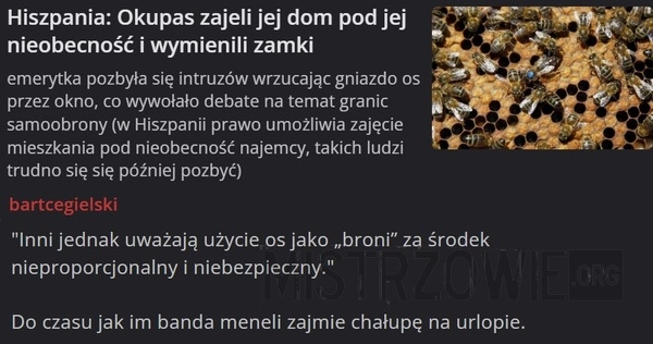 
    Osy