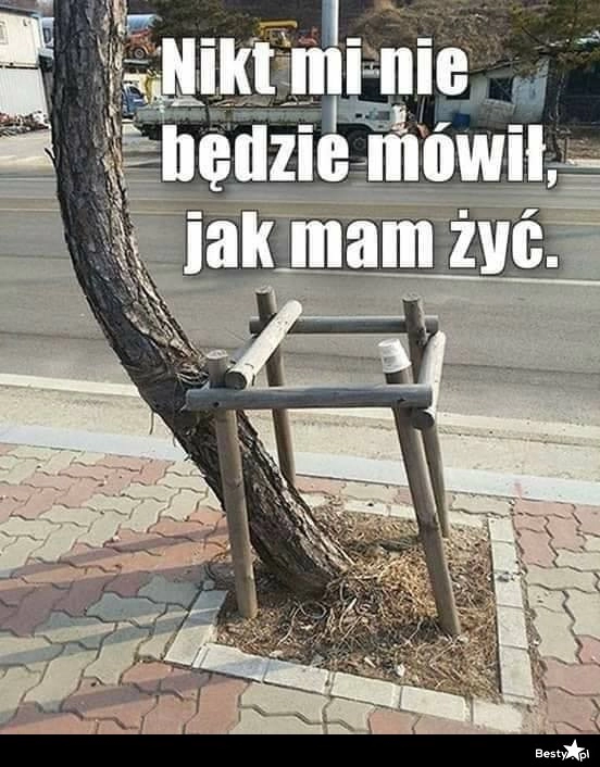 
    Życie po swojemu 