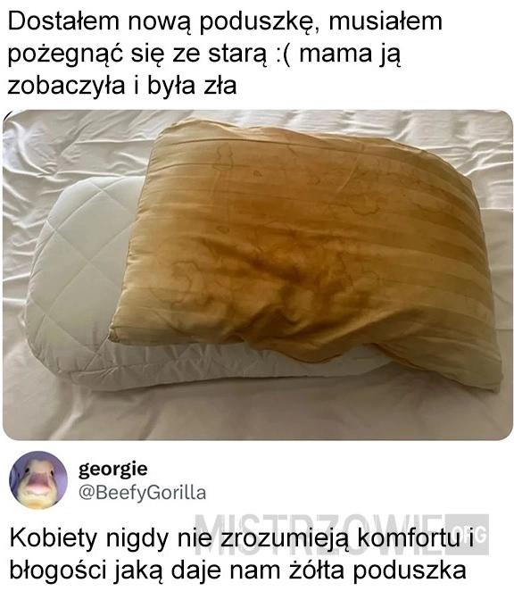 
    Poduszka