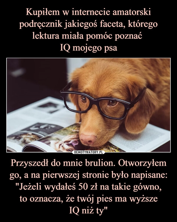 
    Kupiłem w internecie amatorski podręcznik jakiegoś faceta, którego lektura miała pomóc poznać
IQ mojego psa Przyszedł do mnie brulion. Otworzyłem go, a na pierwszej stronie było napisane: "Jeżeli wydałeś 50 zł na takie gówno,
to oznacza, że twój pies ma wyższe
IQ niż ty" 