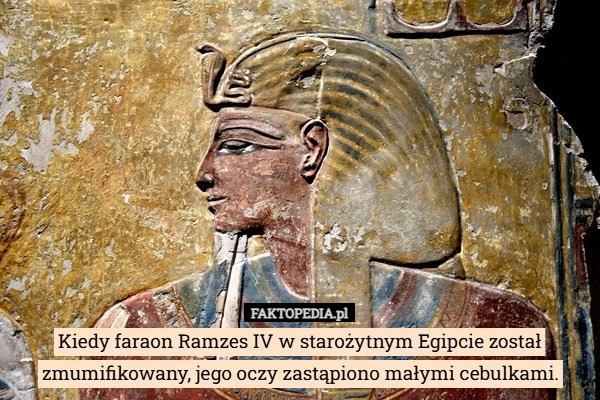 
    Kiedy faraon Ramzes IV w starożytnym Egipcie został zmumifikowany, jego